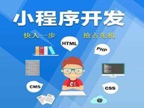 深圳手机APP软件开发_社交电商系统开发定制_小程序开发定制